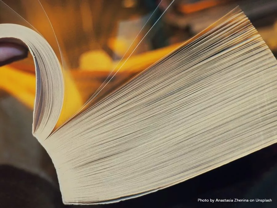 Arauco trains 20 employees in advanced lumber drying